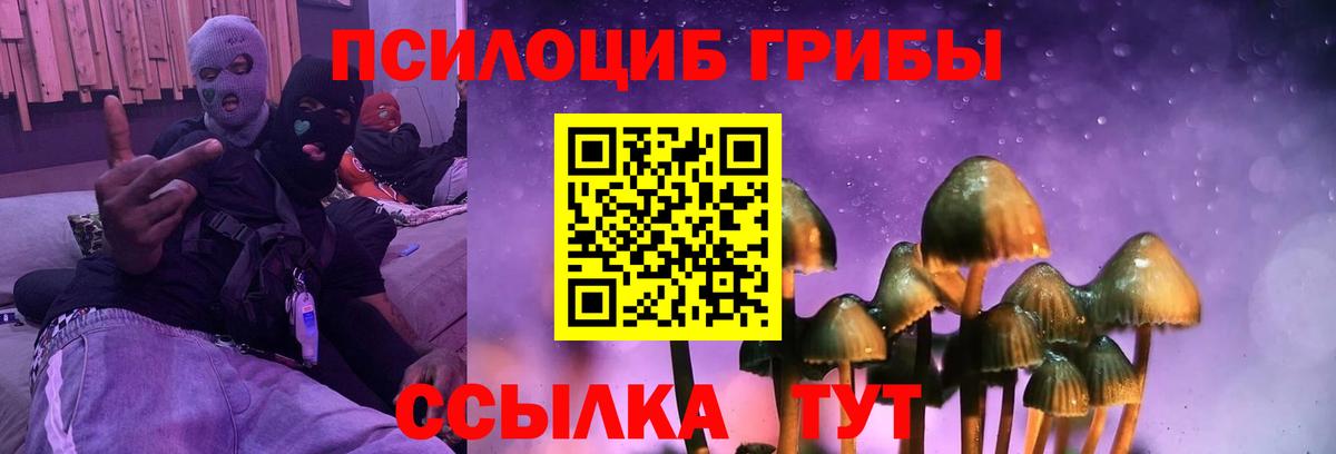 Псилоцибиновые грибы Psilocybe  купить наркотики цена  Вход с VPN  Первоуральск  Псилоцибиновые грибы GOLDEN TEACHER 